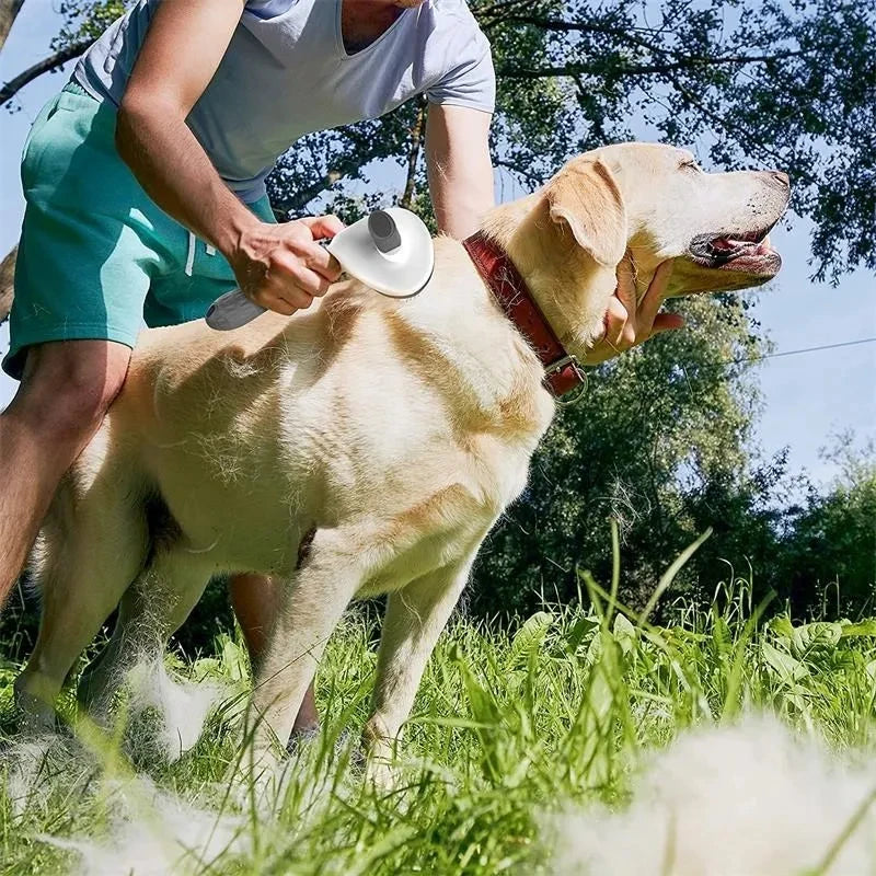 Self-Cleaning Pet Brush                 Remove loose fur, tangles, and dirt in seconds – with one-click cleaning.